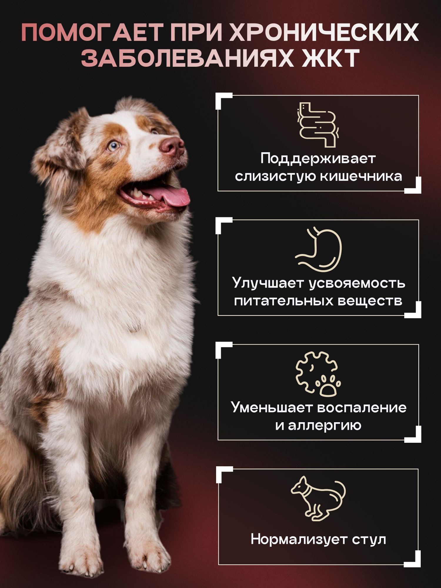 Набор кормов сухих для собак «Cosmodog» для крупных и средних пород с индейкой 5 кг + с пробиотиком