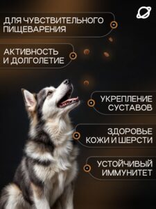 Набор кормов сухих для собак «Cosmodog» Senior 7+ с индейкой 2 кг, 2 пачки