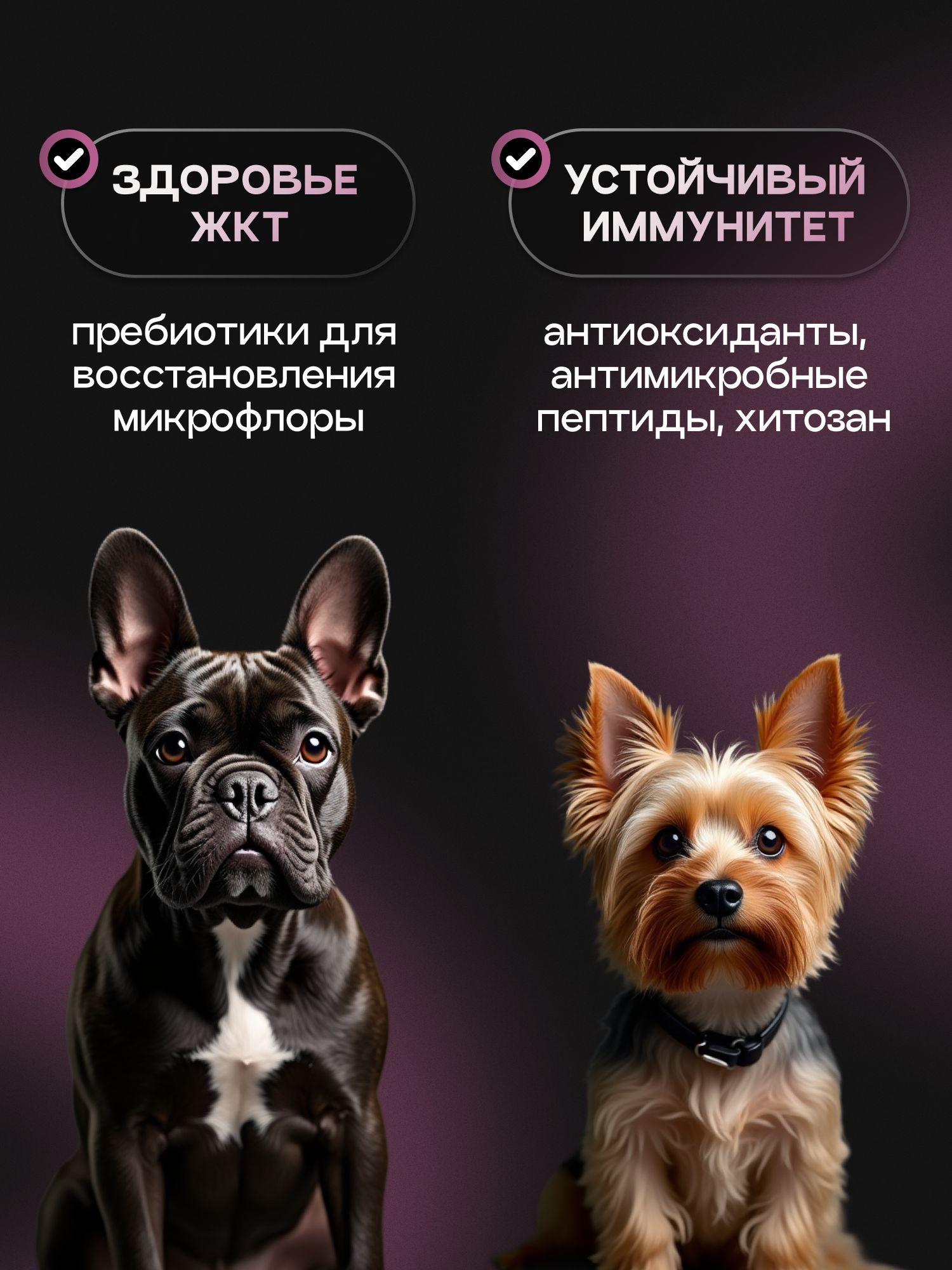 Набор кормов сухих для собак «Cosmodog» для малых пород с индейкой 2 кг, 2 пачки