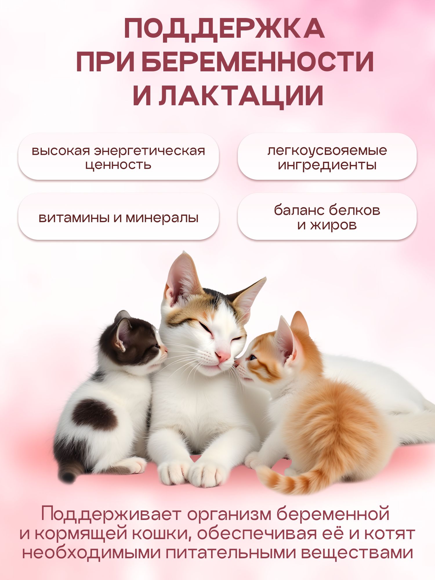Набор кормов сухих «Cosmocat» для котят и кормящих кошек с индейкой 1.8 кг, 2 пачки