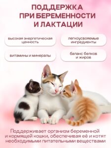 Набор кормов сухих «Cosmocat» для котят и кормящих кошек с индейкой 1.8 кг, 4 пачки