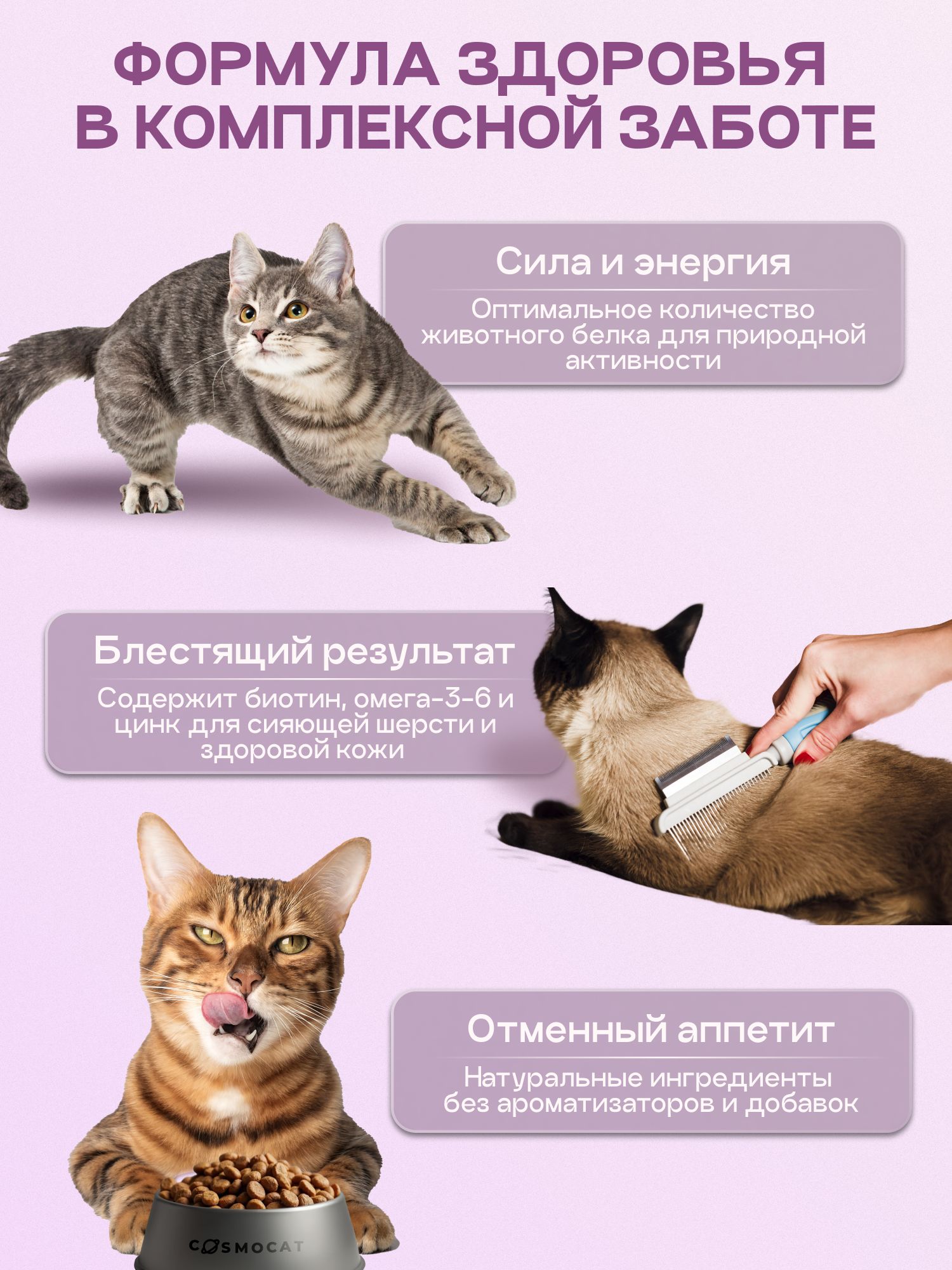 Набор кормов сухих для кошек «Cosmocat» с индейкой 1.8 кг, 4 пачки
