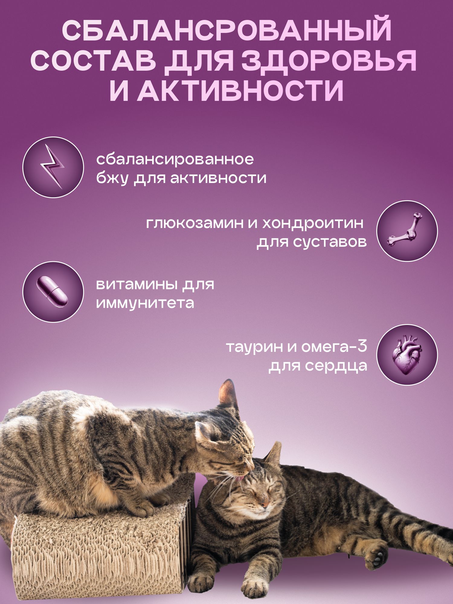Набор кормов сухих «Cosmocat» для стерилизованных кошек с индейкой 1.8 кг, 4 пачки