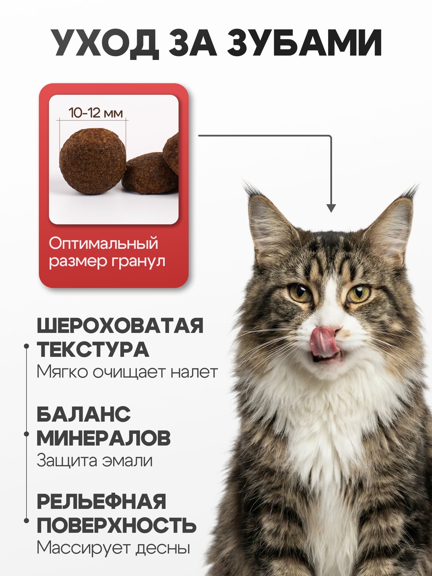 Набор кормов сухих «Cosmocat» для крупных кошек с индейкой 1,8 кг, 2 пачки