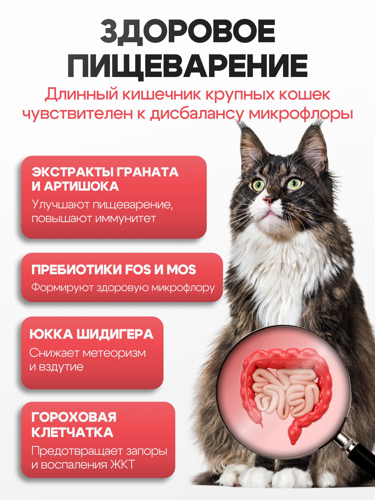 Набор кормов сухих «Cosmocat» для крупных кошек с индейкой 1,8 кг, 4 пачки
