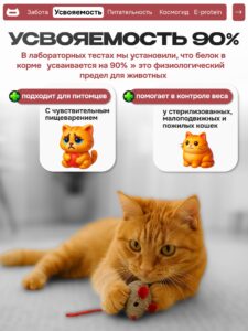 Набор кормов сухих «Cosmocat» для привередливых кошек с индейкой 1.8 кг, 2 пачки