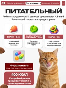 Набор кормов сухих «Cosmocat» для привередливых кошек с индейкой 1.8 кг, 2 пачки