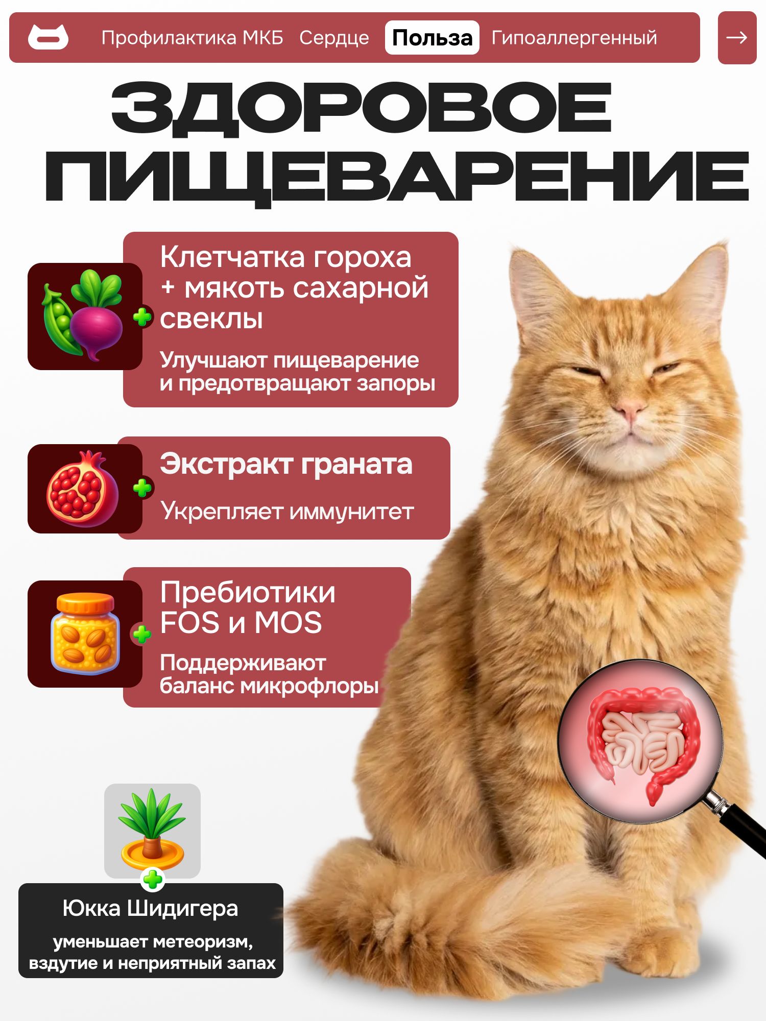 Набор кормов сухих «Cosmocat» для привередливых кошек с индейкой 1.8 кг, 4 пачки