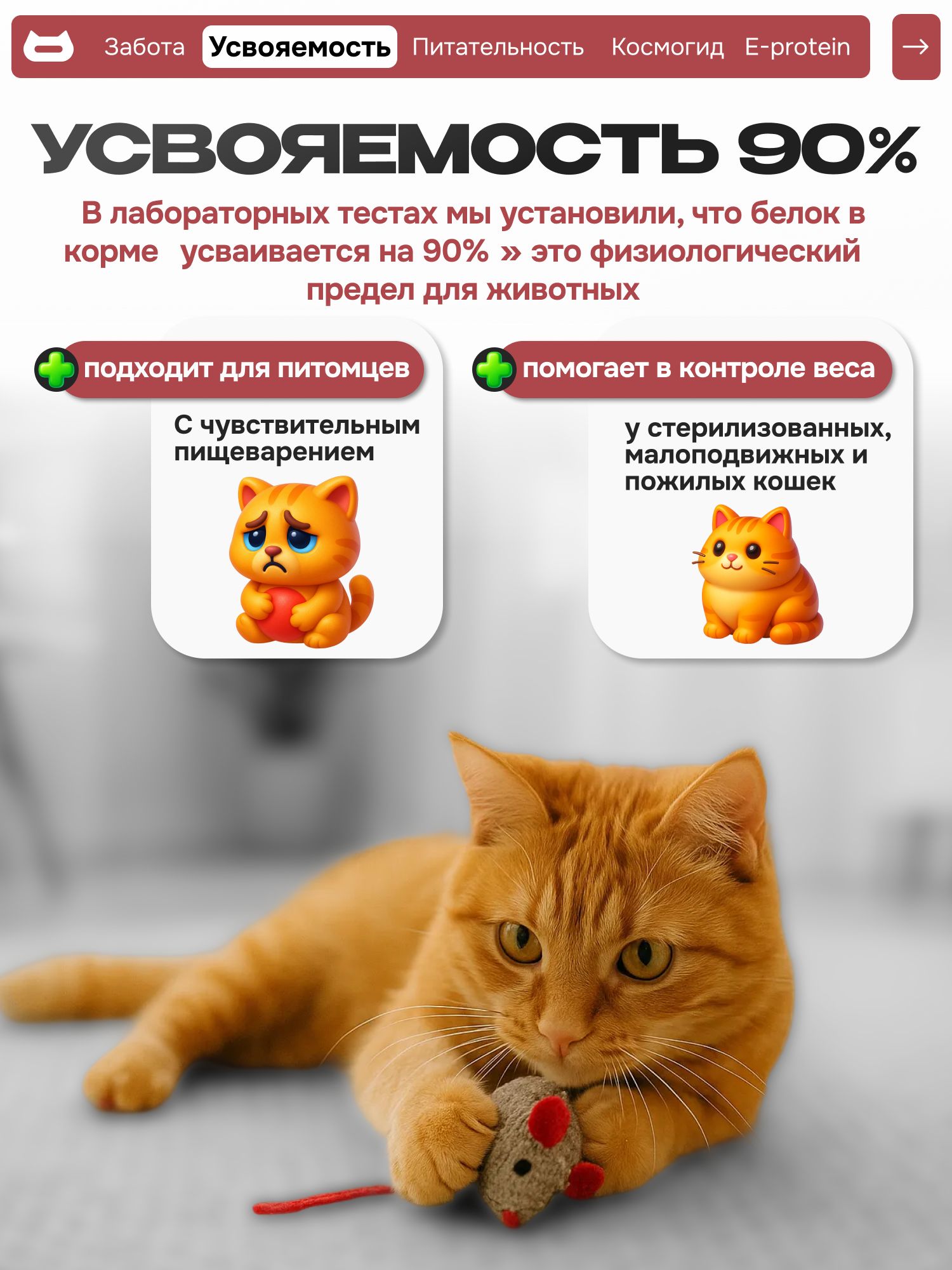 Набор кормов сухих «Cosmocat» для привередливых кошек с индейкой 1.8 кг, 4 пачки