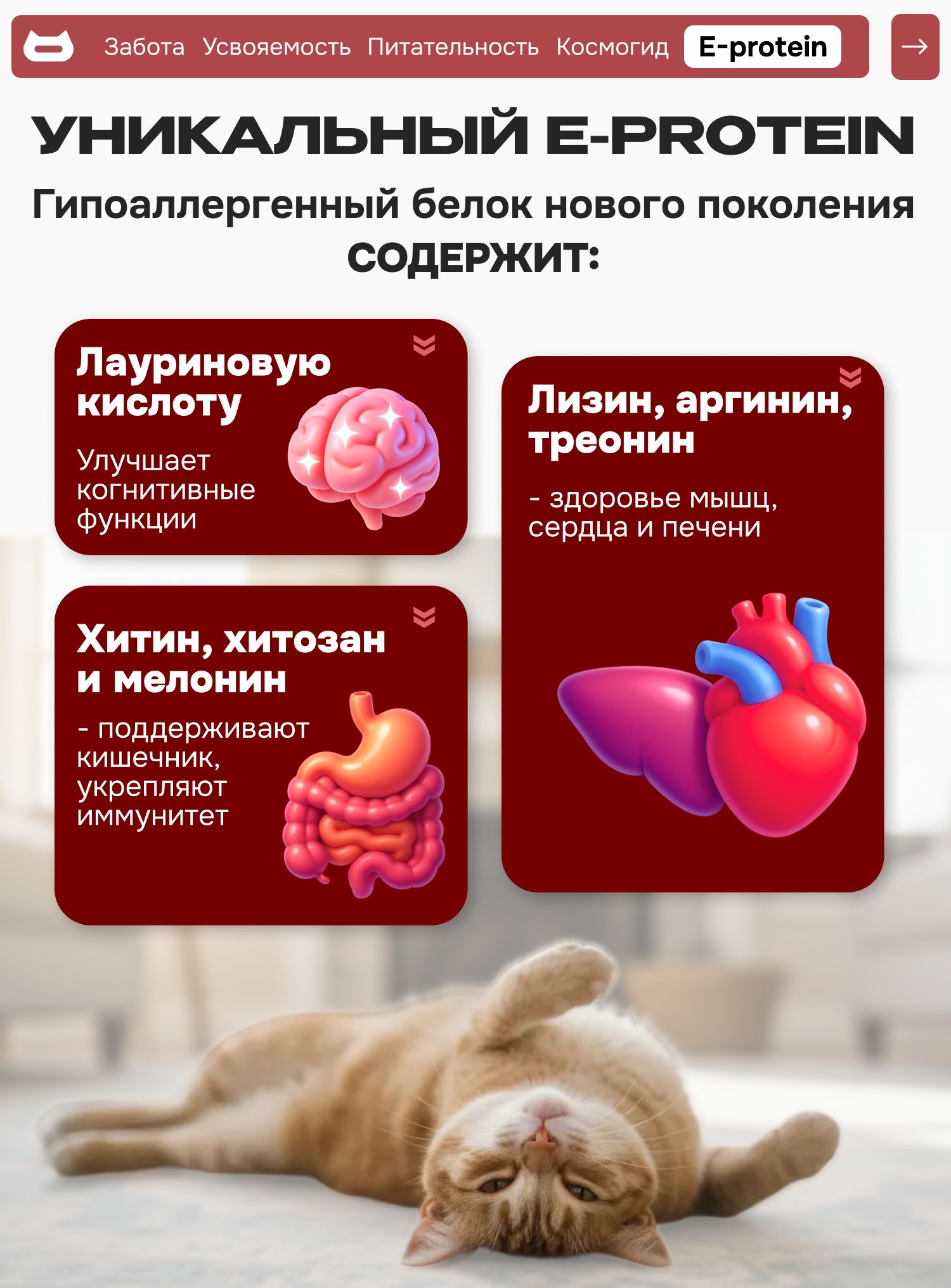 Набор кормов сухих «Cosmocat» для привередливых кошек с индейкой 1.8 кг, 4 пачки