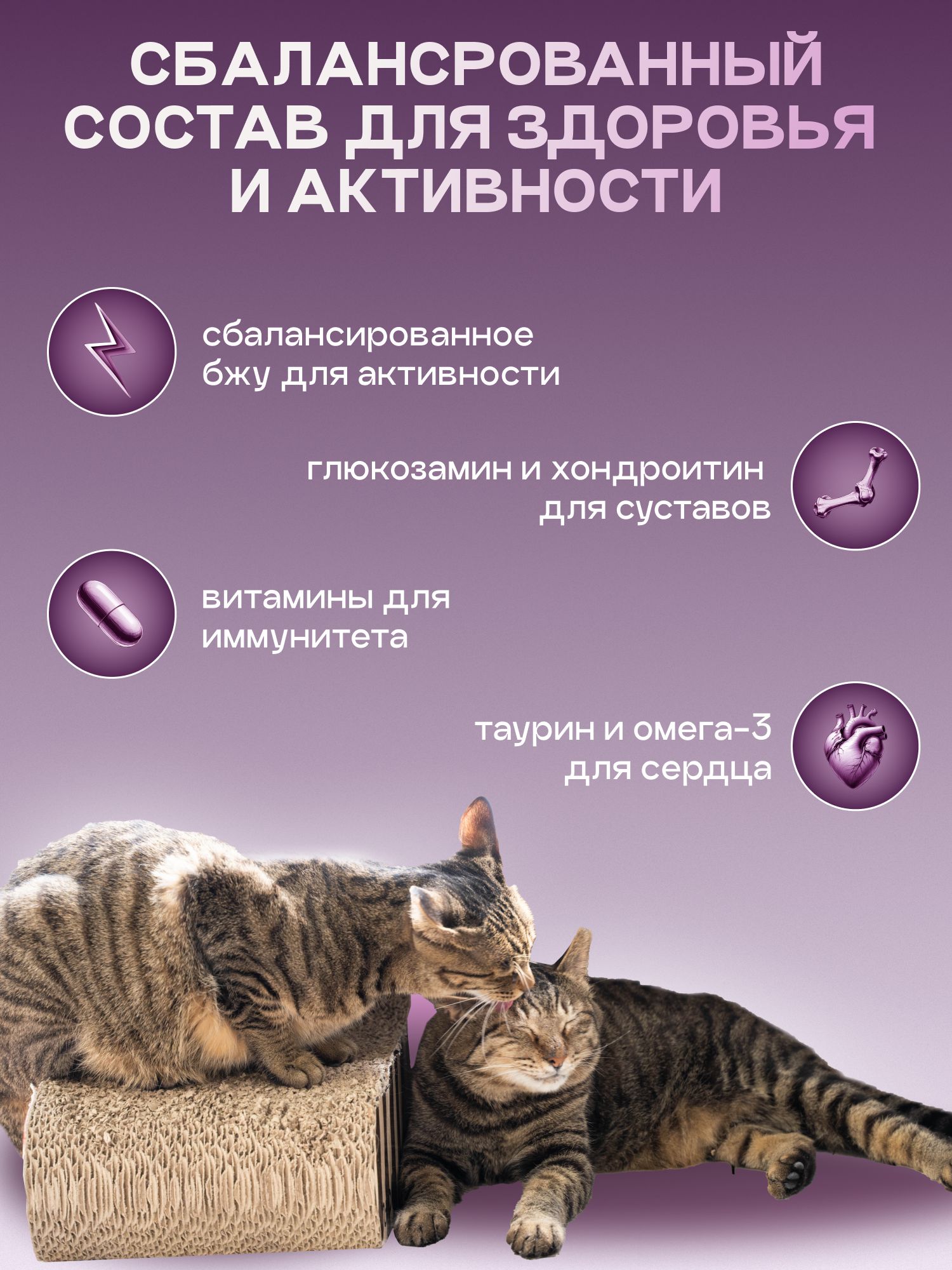 Набор кормов сухих «Cosmocat» для стерилизованных кошек с ягненком 1.8 кг, 2 пачки