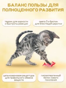 Набор кормов сухих «Cosmocat» для котят и кормящих кошек с ягненком 1,8 кг, 2 пачки