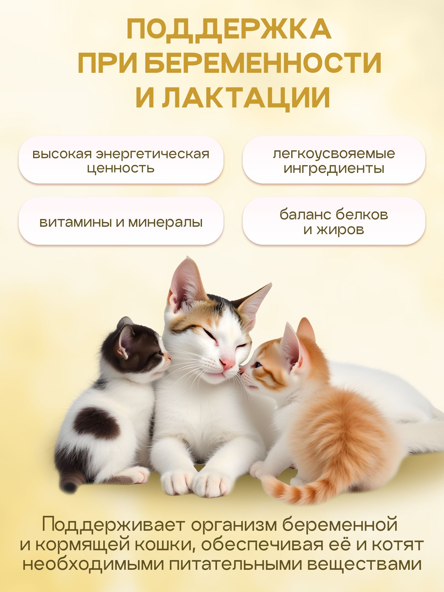 Набор кормов сухих «Cosmocat» для котят и кормящих кошек с ягненком 1,8 кг, 2 пачки
