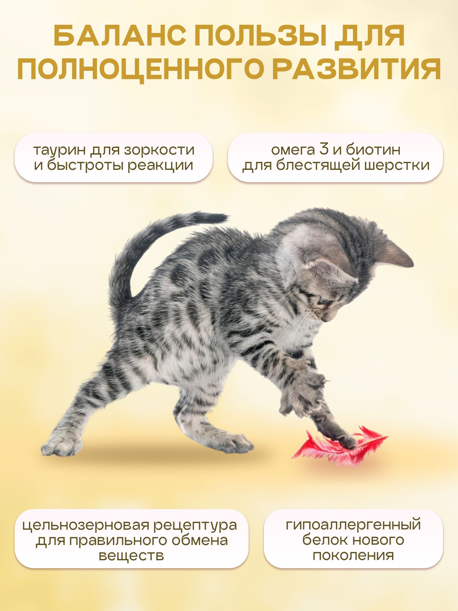 Набор кормов сухих «Cosmocat» для котят и кормящих кошек с ягненком 1,8 кг, 4 пачки