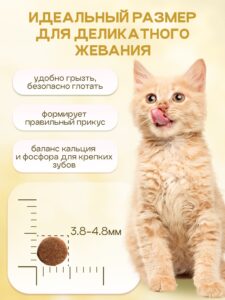 Набор кормов сухих «Cosmocat» для котят и кормящих кошек с ягненком 1,8 кг, 4 пачки