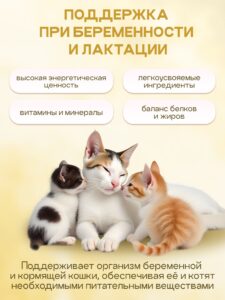 Набор кормов сухих «Cosmocat» для котят и кормящих кошек с ягненком 1,8 кг, 4 пачки