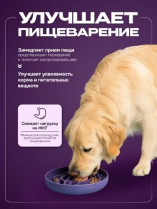 Миска для медленного кормления Cosmopet планета фиолетовая
